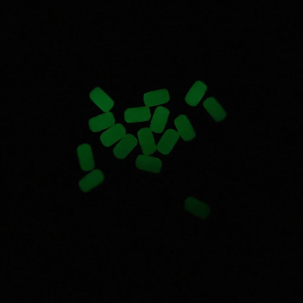 100Pcs/Bag Luminous Fishing So - Fishing Lure Kit ulasan dan harga